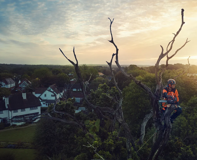 Husqvarna T540i XP® Chainsaw